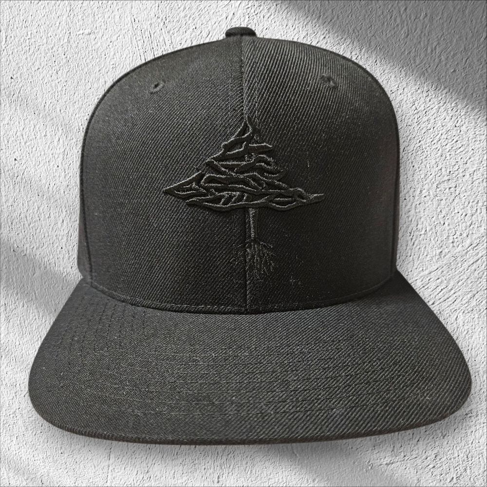 LRG Snapback Hat - image 1